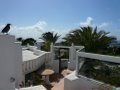 Complejos de apartamentos Charco del Palo Lanzarote Apartment Elli