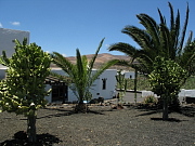 Casa Caldereta: Garden